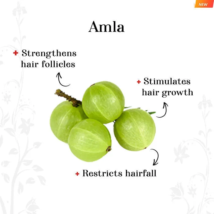Alps Goodness Amla Reetha & Shikakai Powder 150 gm| 100% Natural Powder | No Chemicals, No Preservatives, No Pesticides | Promotes Hair Growth| Hair Mask | Strenghtens Hair | For silky smooth hair